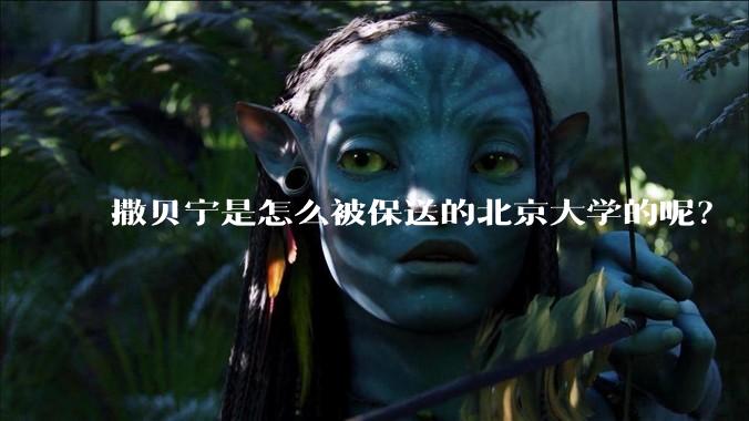 撒贝宁是怎么被保送的北京大学的呢？