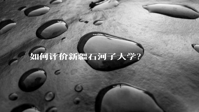 如何评价新疆石河子大学？