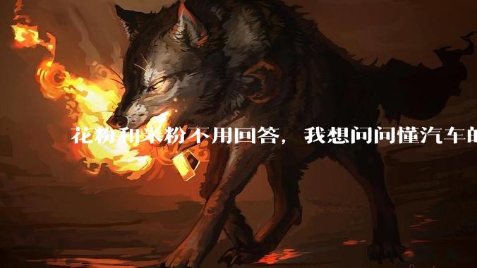 花粉和米粉不用回答，我想问问懂汽车的大哥，小米汽车到底怎么样啊？