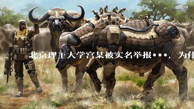 北京理工大学宫某被实名举报***，为什么感觉这么多人似乎站导师这边？