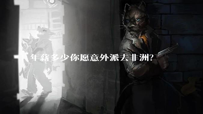年薪多少你愿意外派去非洲？